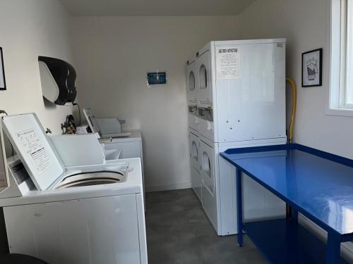 Coin Laundry 